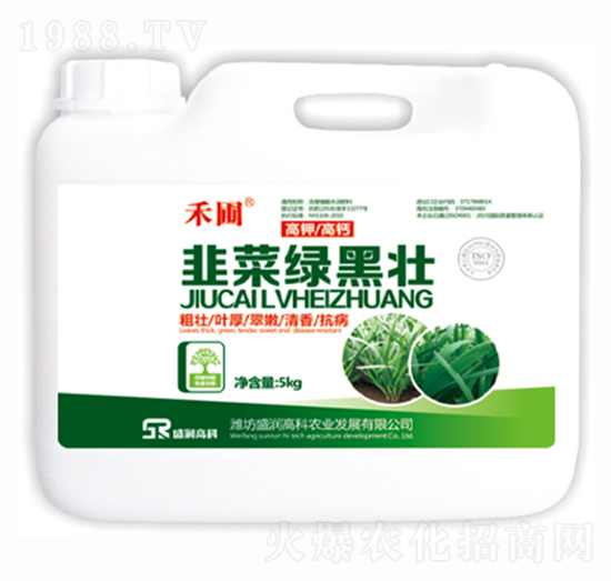 �²˾G�ډ�-����-ʢ���߿�