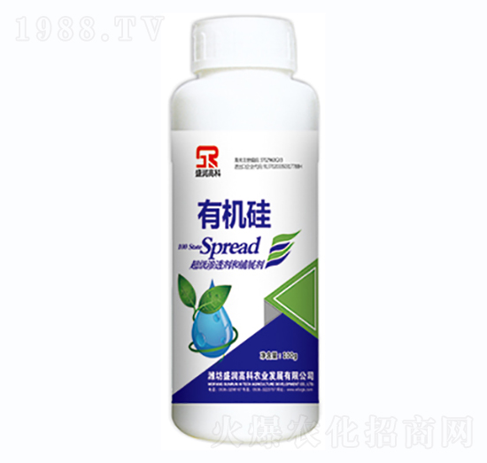 有機(jī)硅-盛潤高科