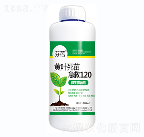 黃葉死苗急救120-芬蓓-盛潤高科