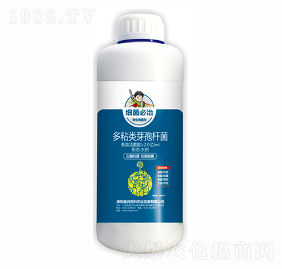 多粘類芽孢桿菌-細(xì)菌必治-盛潤高科