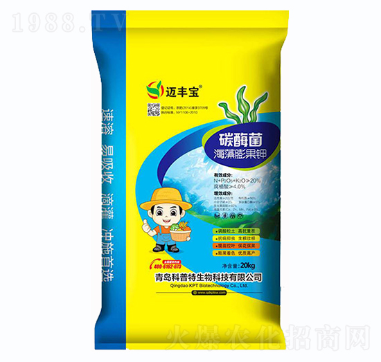 ̼ø����������-�~�S��-������