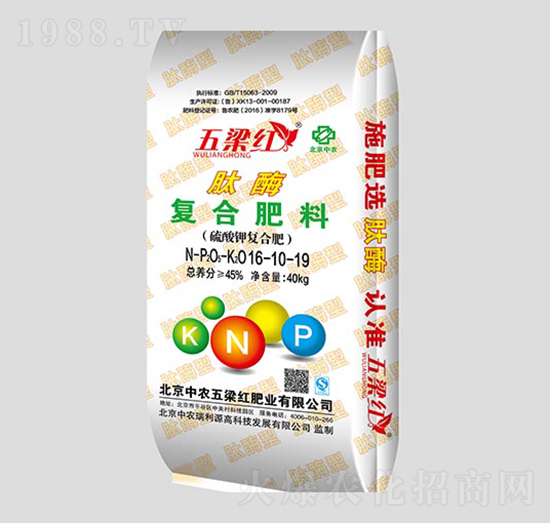 ��ø�ͺϷ���16-10-19-�����t