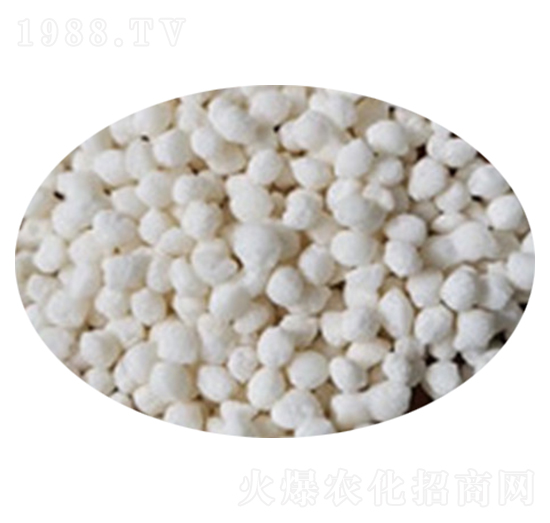 擠壓烘干拋圓氯化銨-金農(nóng)化肥