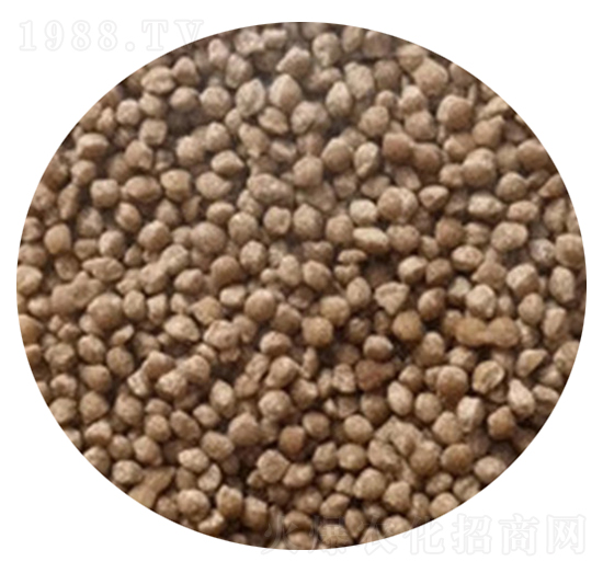 擠壓烘干拋圓氯化銨（顆粒）-金農(nóng)化肥