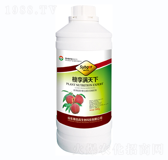 桃李滿天下-施佰高