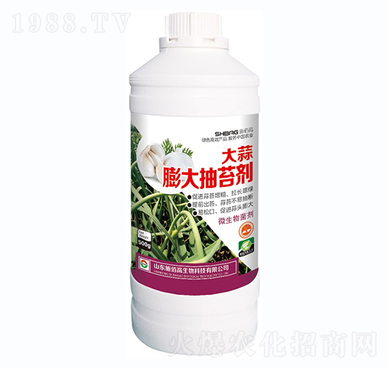 大蒜膨大抽苔劑-施佰高
