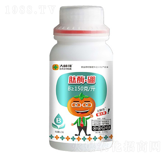 ��ø����-������