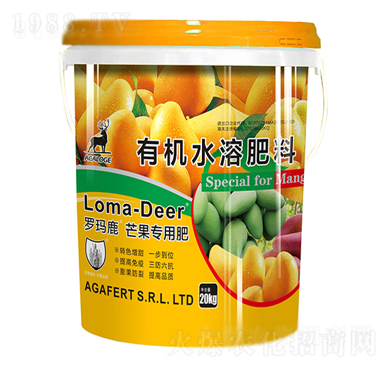 �_��¹â�����÷�-���L