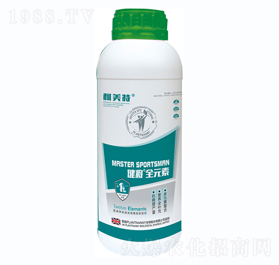 ������ȫԪ��-������