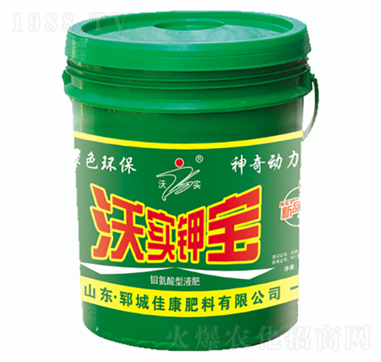 �֌�⛌�-�ѿ�