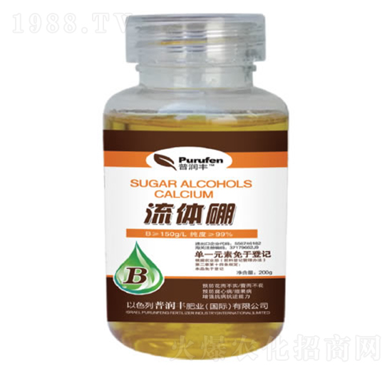 ���w��-�՝��S