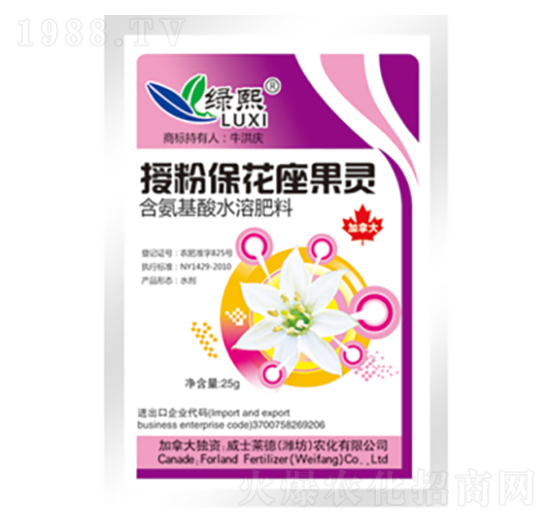 �ڷ۱��������`�����b��-�G��-��ʿ�R��