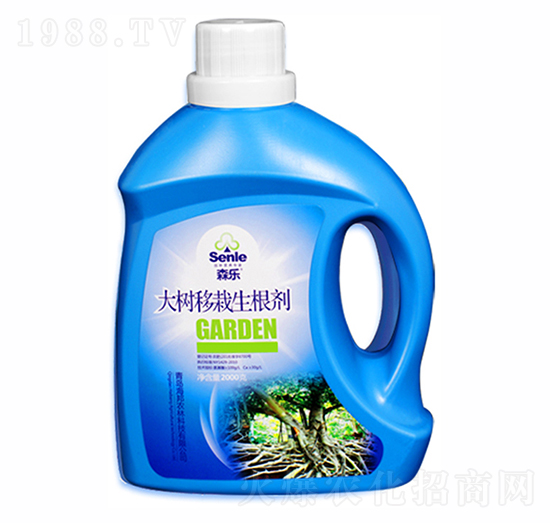 �������������-ɭ��-�����r��