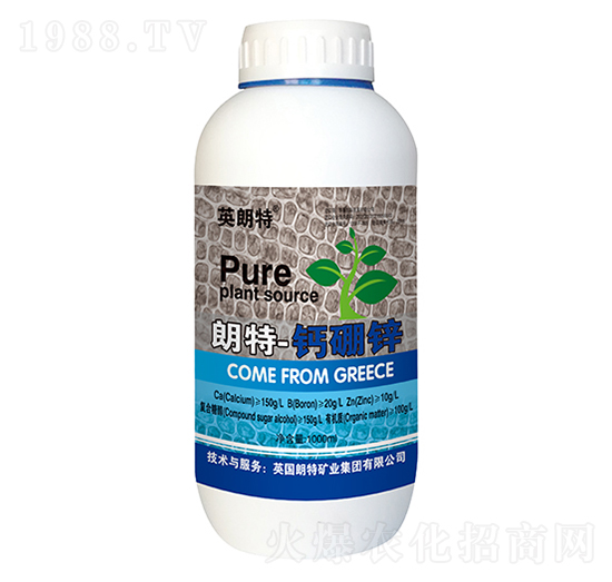 �}���\�~���-Ӣ����