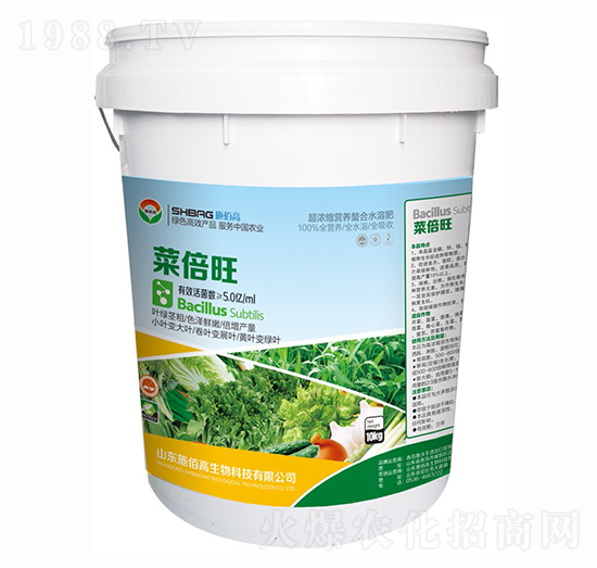 �˱���-ʩ�۸�