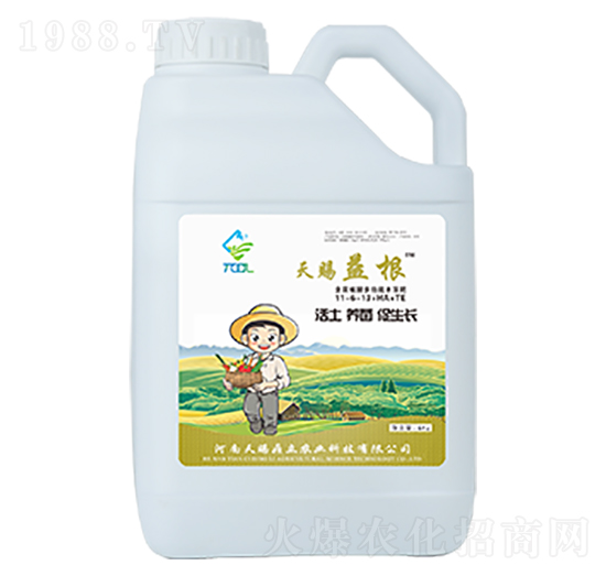 天賜益根-天賜鼎立