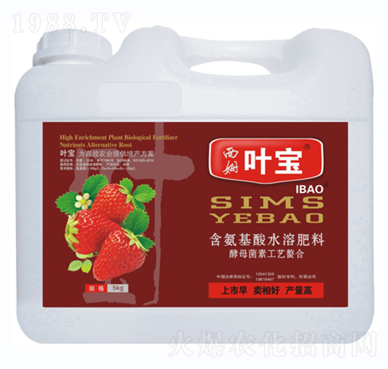 ��ݮ���ú�������ˮ�ܷ���-���~ֲ��