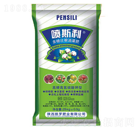 ���ǉѸ��ι��-��˹��-�P�_�ʘI(y��)