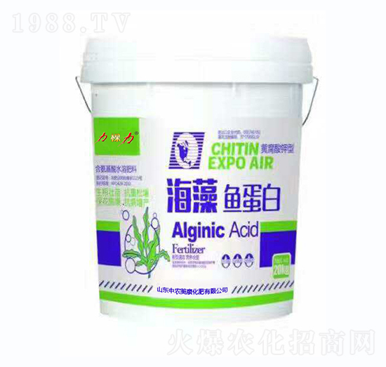 �����~(y��)����-���r(n��ng)����