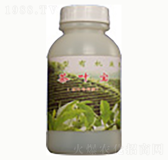 茶葉寶-賜?？? style=