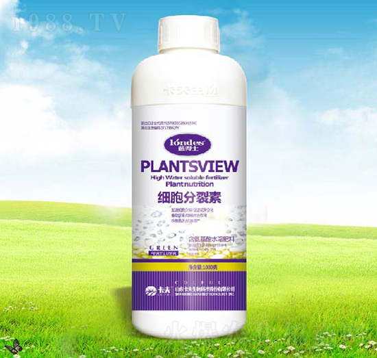 ��(x��)��������-������