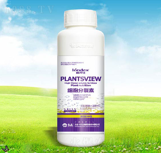 500�˼�(x��)��������-������