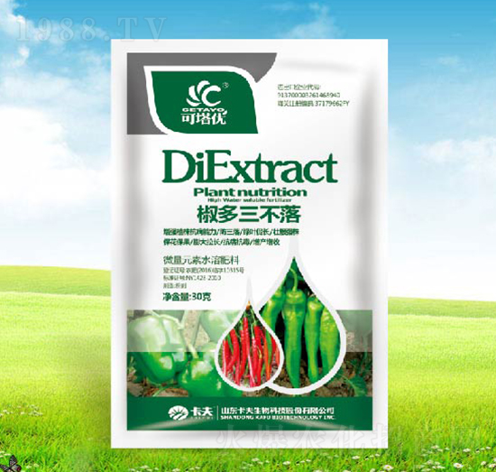 ����������-������(y��u)-������