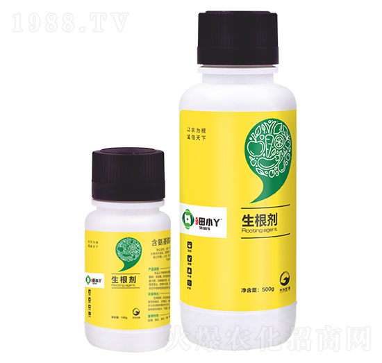 ������-��СѾ-�_������