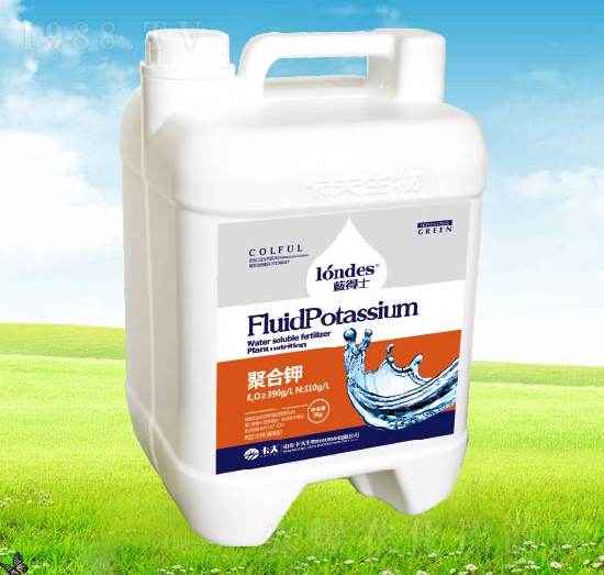 �{��ʿ�ۺ��-����