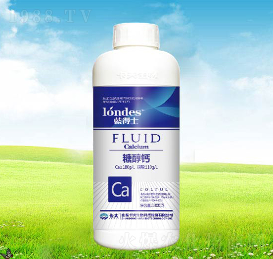 1300���{(l��n)��ʿ�Ǵ��}-����