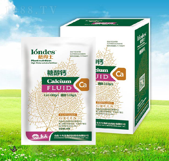 20���{(l��n)��ʿ�Ǵ��}-����