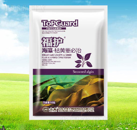 ������Sή����-���o-����