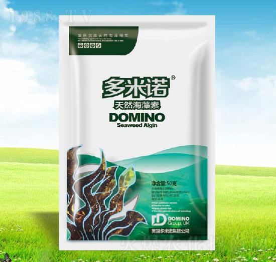 ��Ȼ������-�����Z-����