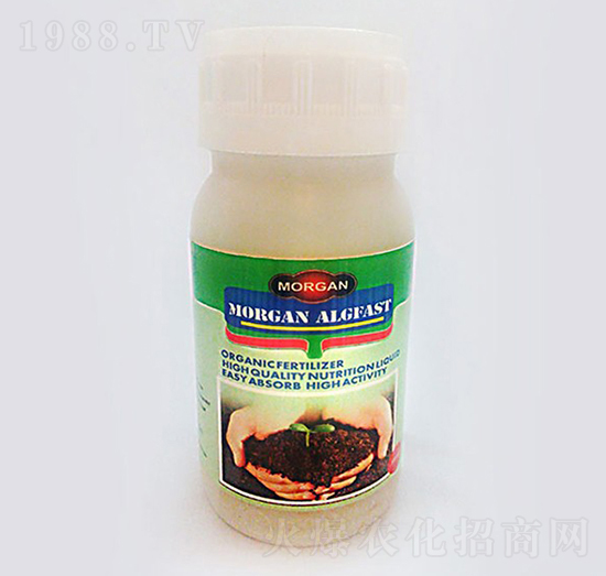 �캣��-�ָ���