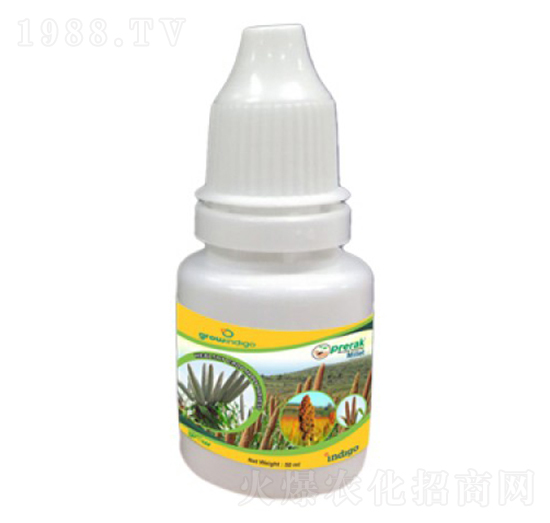 Prerak Millet-�ָ���