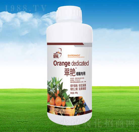 ���G�̽ی���-�μѸ�