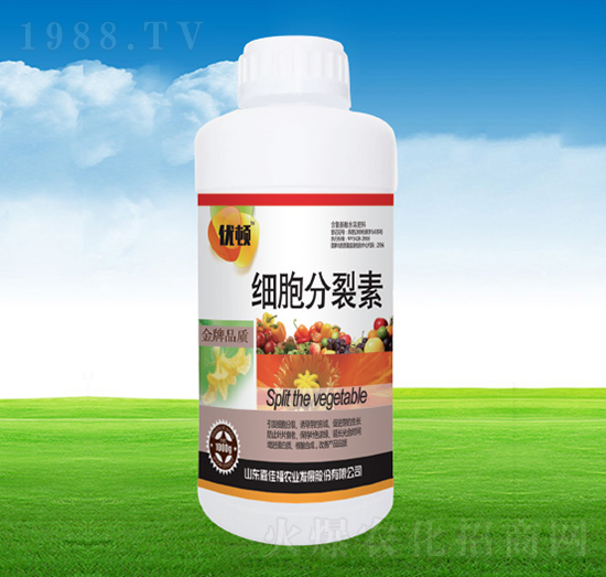 ��(x��)��������-�μѸ�