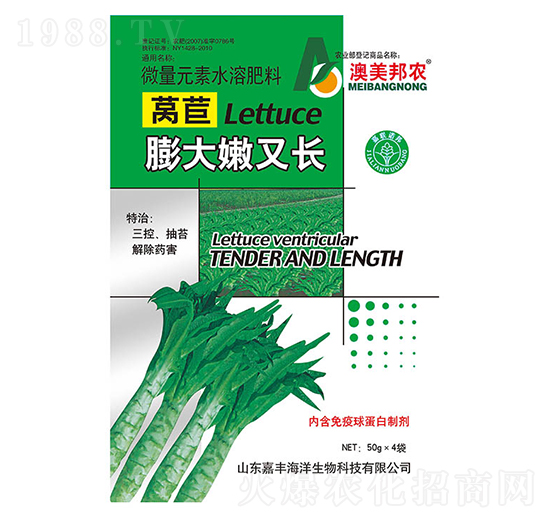 萵苣膨大嫩又長(zhǎng)-嘉豐