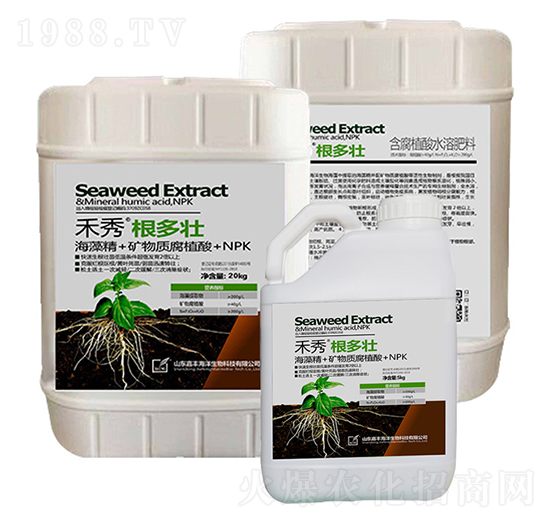 ���㡤������-���S