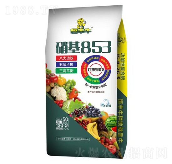 硝基853功能肥15-5-24-恒豐牛-凱龍楚興