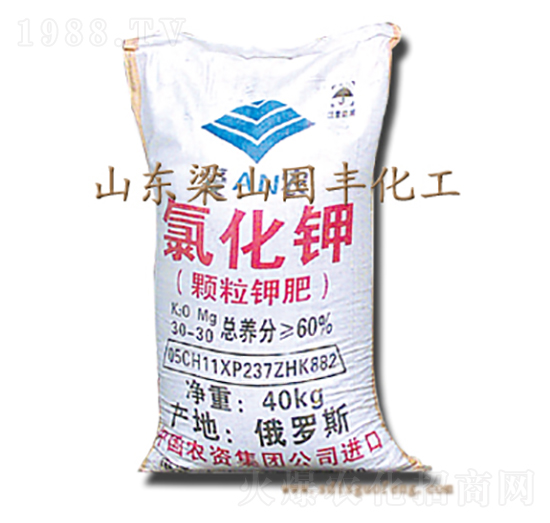 氯化鉀-國豐肥業(yè)