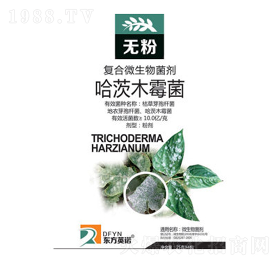 ����ľù��-�o(w��)��-�|��Ӣ�Z