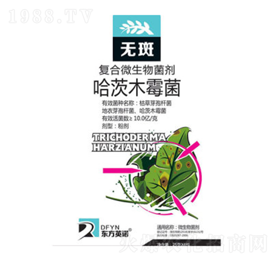 ����ľù��-�o-�|��Ӣ�Z