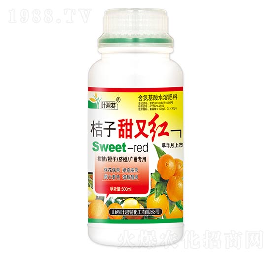 桔子甜又紅-葉碧特