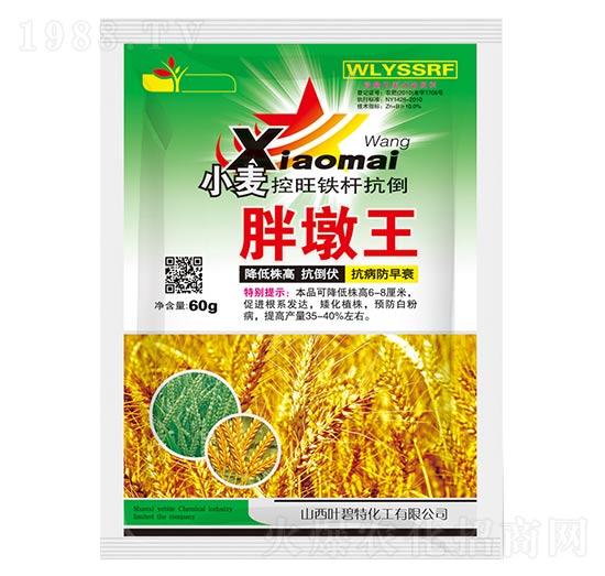 С���ֶ���-�~����