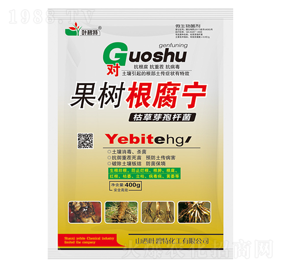 ���������-�~����