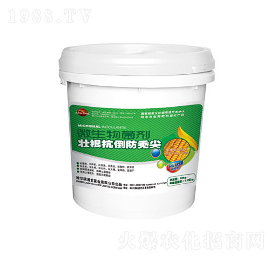 壯根抗倒防禿尖微生物菌劑-玉米配方-君龍實業(yè)