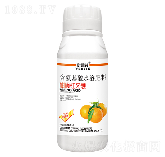 ���ټt���n-�~����