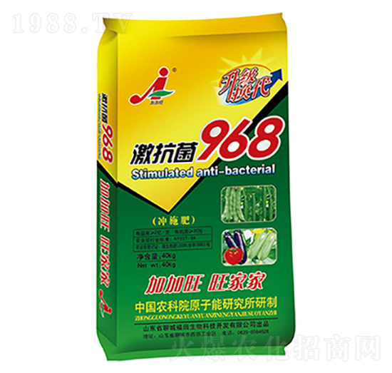 ������968�Gɫ����-��������