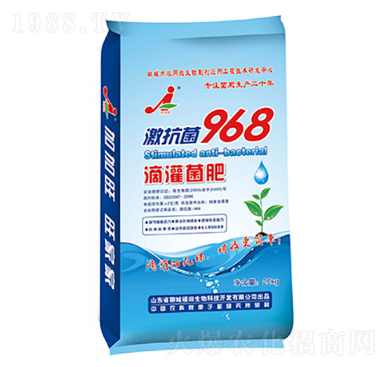 �ι����-��������